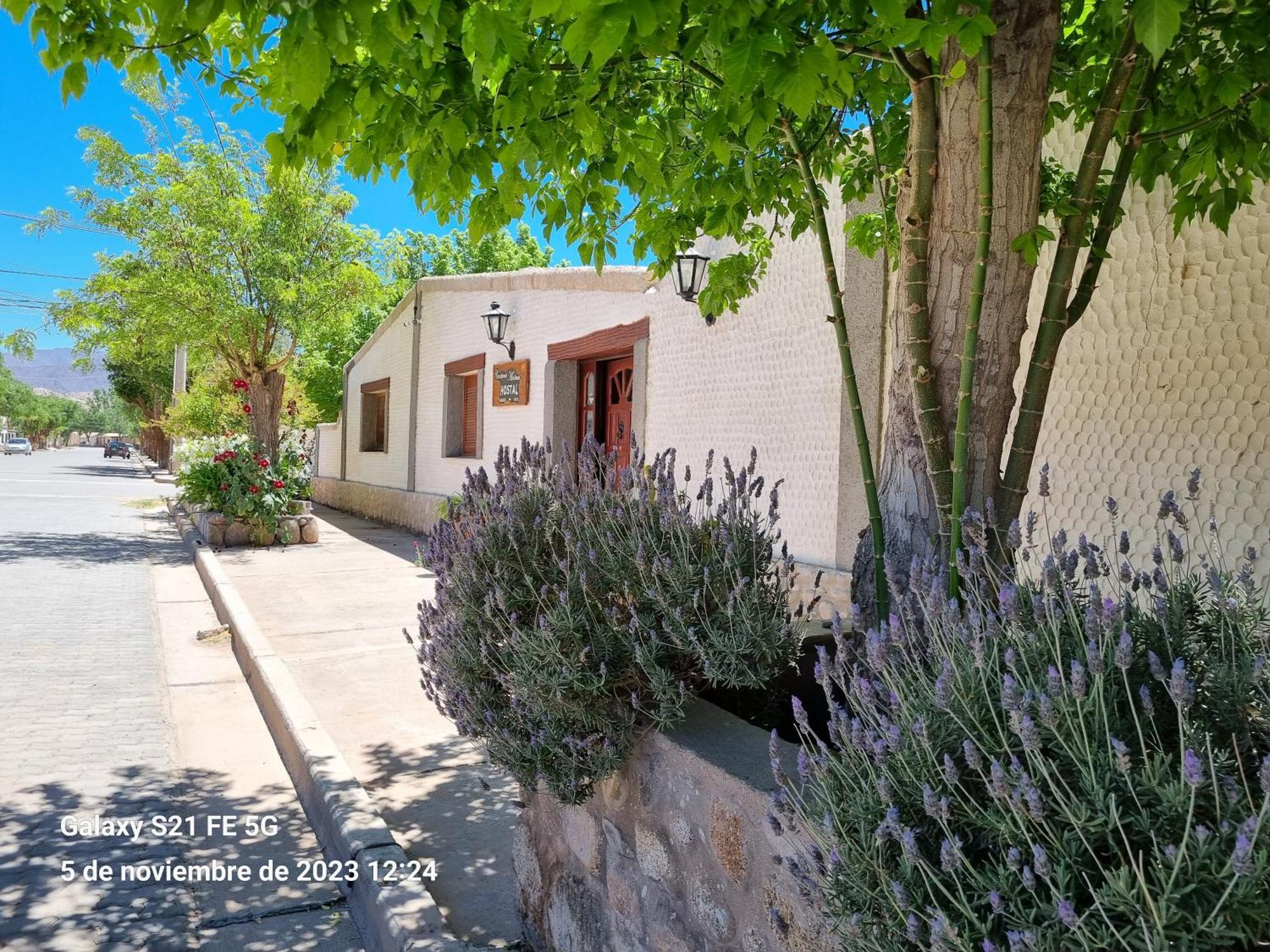 Cardones De Molinos Bed & Breakfast Екстериор снимка